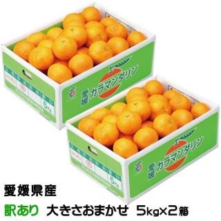 ߤ Ͻդߤ ޥ 5kg2Ȣ Τ  礭ޤ ɲ 绺 ߥ ̪ ե 󤻥4ܤ缡ȯ
