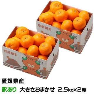 ߤ Ͻդߤ ޥ 2.5kg2Ȣ Τ  礭ޤ ɲ 绺 ߥ ̪ ե 󤻥4ܤ缡ȯ