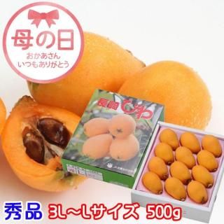  2025 Ӥ ĹӤ  3LL 812 500g Ĺ긩 51511δ֤ˤϤޤջԲġˡ