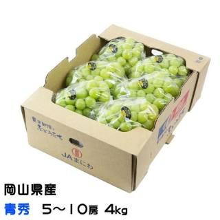<img class='new_mark_img1' src='https://img.shop-pro.jp/img/new/icons1.gif' style='border:none;display:inline;margin:0px;padding:0px;width:auto;' />渵 ֤ɤ 㥤ޥå  Ľ 510˼ 4kg  ƺ ֥ɥ7ܤ缡ȯ