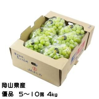 <img class='new_mark_img1' src='https://img.shop-pro.jp/img/new/icons1.gif' style='border:none;display:inline;margin:0px;padding:0px;width:auto;' />渵 ֤ɤ 㥤ޥå  ͥ 510˼ 4kg  ƺ ֥ɥ7ܤ缡ȯ