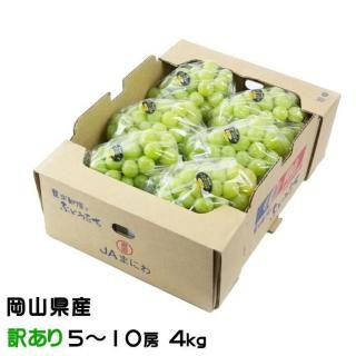 <img class='new_mark_img1' src='https://img.shop-pro.jp/img/new/icons1.gif' style='border:none;display:inline;margin:0px;padding:0px;width:auto;' />渵 ֤ɤ 㥤ޥå  Τ ä 510˼ 4kg  ƺ ֥ɥ 7ܤ缡ȯ
