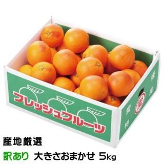ߤ  Τ ä 礭ޤ 5kg ϸ