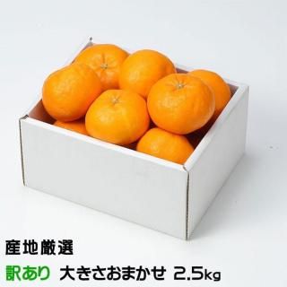 ߤ  Τ ä 礭ޤ 2.5kg ϸ