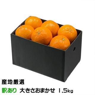 ߤ  Τ ä 礭ޤ 1.5kg ϸ