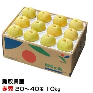  20 ֽ 2040 10kg Ļ踩 ʤ ʥ 9ܤ缡ȯ