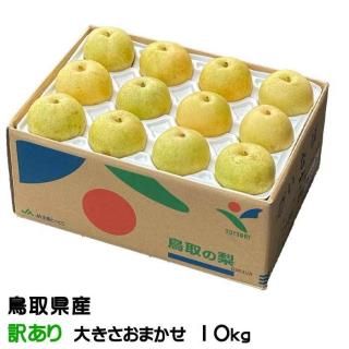  20 ä 礭ޤ 10kg Ļ踩 ʤ ʥ 9ܤ缡ȯ