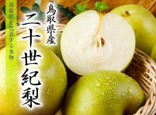  20 ֽ 2040 10kg Ļ踩 ʤ ʥ 9ܤ缡ȯ