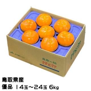 <img class='new_mark_img1' src='https://img.shop-pro.jp/img/new/icons1.gif' style='border:none;display:inline;margin:0px;padding:0px;width:auto;' /> Ϻ  ͥ 14̡24 6kg Ļ踩   ե 