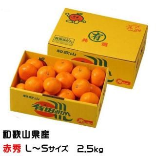 <img class='new_mark_img1' src='https://img.shop-pro.jp/img/new/icons1.gif' style='border:none;display:inline;margin:0px;padding:0px;width:auto;' />みかん 有田みかん 赤秀 L〜Sサイズ 2.5kg 和歌山県産 JAありだ 【10月中旬より順次発送】