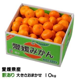 <img class='new_mark_img1' src='https://img.shop-pro.jp/img/new/icons1.gif' style='border:none;display:inline;margin:0px;padding:0px;width:auto;' />みかん 愛媛みかん 訳あり 大きさおまかせ 10kg 愛媛県産  【11月上旬より順次発送】