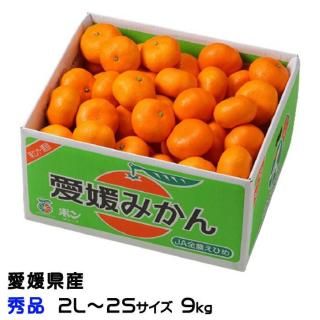 <img class='new_mark_img1' src='https://img.shop-pro.jp/img/new/icons1.gif' style='border:none;display:inline;margin:0px;padding:0px;width:auto;' />みかん 愛媛みかん 秀品 2L〜2Sサイズ 9kg 愛媛県産 【11月上旬より順次発送】