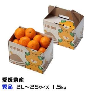 <img class='new_mark_img1' src='https://img.shop-pro.jp/img/new/icons1.gif' style='border:none;display:inline;margin:0px;padding:0px;width:auto;' />みかん 愛媛みかん 秀品 2L〜2Sサイズ 1.5kg みきゃん箱入り 愛媛県産 【11月上旬より順次発送】