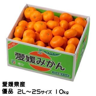 <img class='new_mark_img1' src='https://img.shop-pro.jp/img/new/icons1.gif' style='border:none;display:inline;margin:0px;padding:0px;width:auto;' />みかん 愛媛みかん 優品 2L〜2Sサイズ 10kg 愛媛県産 【11月上旬より順次発送】