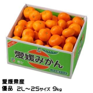 <img class='new_mark_img1' src='https://img.shop-pro.jp/img/new/icons1.gif' style='border:none;display:inline;margin:0px;padding:0px;width:auto;' />みかん 愛媛みかん 優品 2L〜2Sサイズ 9kg 愛媛県産 【11月上旬より順次発送】