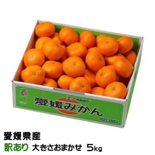 <img class='new_mark_img1' src='https://img.shop-pro.jp/img/new/icons1.gif' style='border:none;display:inline;margin:0px;padding:0px;width:auto;' />みかん 愛媛みかん 訳あり 大きさおまかせ 5kg 愛媛県産 【11月上旬より順次発送】
