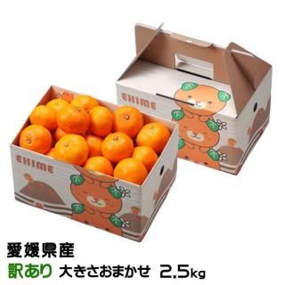 <img class='new_mark_img1' src='https://img.shop-pro.jp/img/new/icons1.gif' style='border:none;display:inline;margin:0px;padding:0px;width:auto;' />みかん 愛媛みかん 訳あり 大きさおまかせ 2.5kg みきゃん箱入り 愛媛県産 【11月上旬より順次発送】