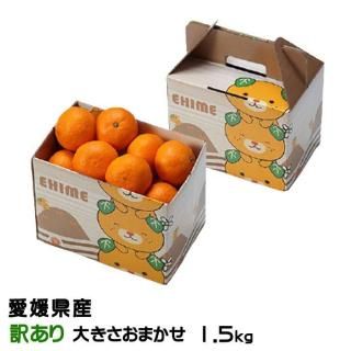 <img class='new_mark_img1' src='https://img.shop-pro.jp/img/new/icons1.gif' style='border:none;display:inline;margin:0px;padding:0px;width:auto;' />みかん 愛媛みかん 訳あり 大きさおまかせ 1.5kg みきゃん箱入り 愛媛県産 【11月上旬より順次発送】