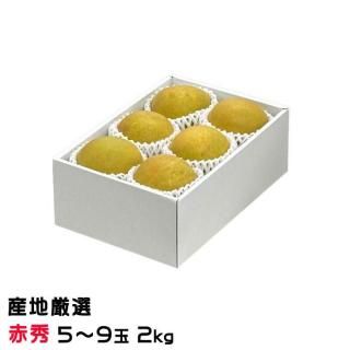    ϸ ֽ 5̡9 2kg ʥ ʤ 10ܤ缡ȯ