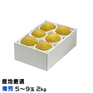    ϸ Ľ 5̡9 2kg ʥ ʤ 10ܤ缡ȯ