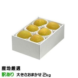    ϸ ä 礭ޤ 2kg ʥ ʤ 10ܤ缡ȯ