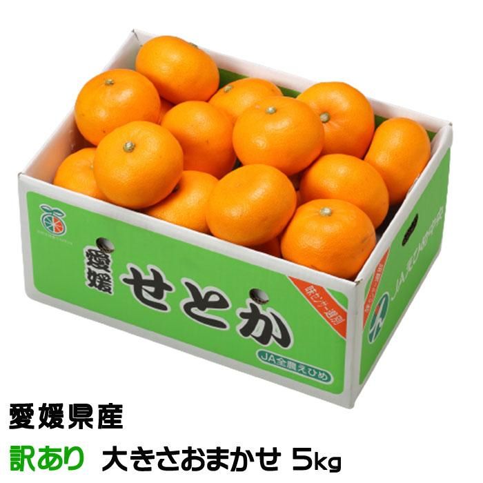 みかん せとか 風のいたずら 訳あり 4l L 5kg 愛媛県 中島産 ミカン 蜜柑 ギフト 贈り物 はちやフルーツ
