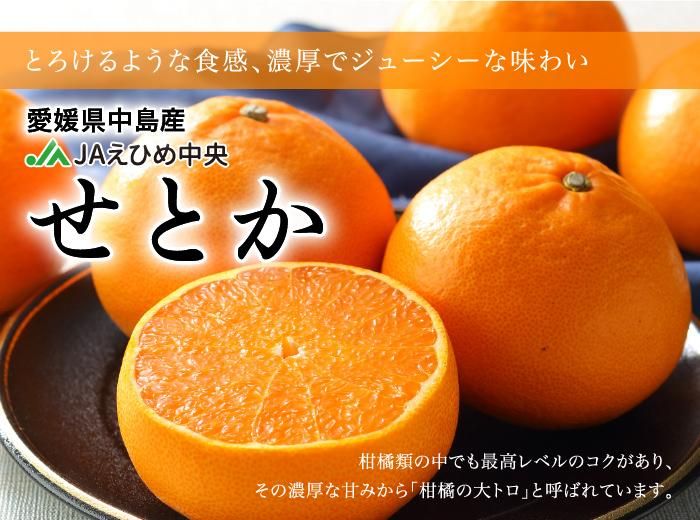 みかん せとか 中島便り 匠と極 3L~Lサイズ 10~15玉 3kg 愛媛 みかん せとか 中島便り 匠と極 3L~Lサイズ 10~15玉 3kg 愛媛