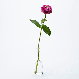 理化学ガラスの花瓶「MEDIFLA(メディフラ) 」CHIMNEY（チムニー）煙突のイメージ