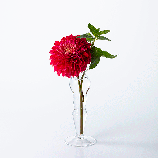 理化学ガラスの花瓶「MEDIFLA(メディフラ) 」ELEGANT（エレガント）優美なイメージ