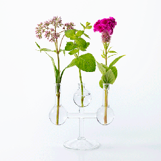 理化学ガラスの花瓶「MEDIFLA(メディフラ) 」 TRIPLETS（トリプルズ）三つ子のイメージ