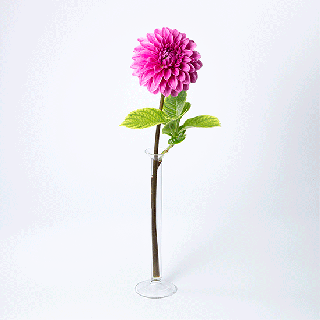 理化学ガラスの花瓶「MEDIFLA(メディフラ) 」 BRANCH（ブランチ）小枝のイメージ