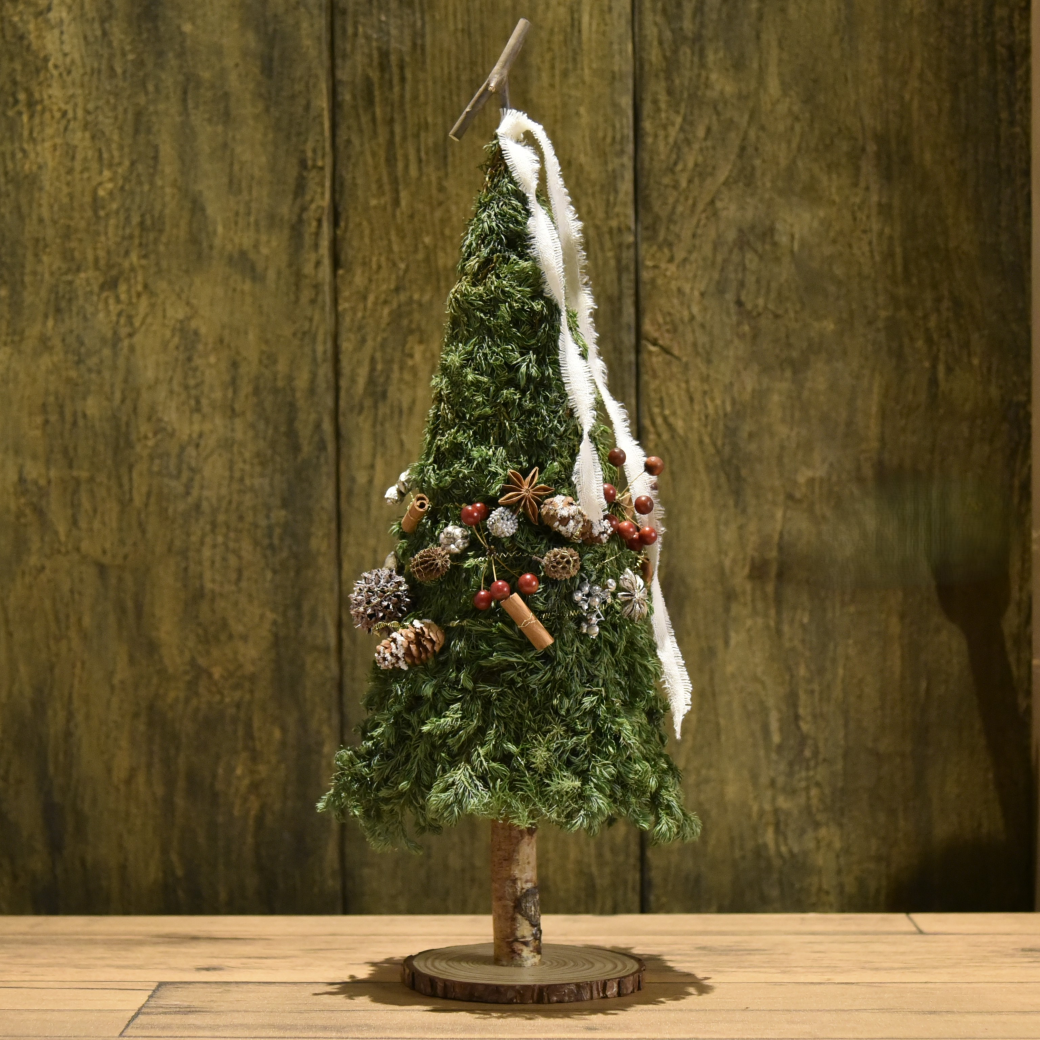 ̵ꥹޥĥ꡼/ե쥹ȥե ꥸʥ륦åɥ