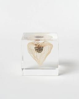 <img class='new_mark_img1' src='https://img.shop-pro.jp/img/new/icons13.gif' style='border:none;display:inline;margin:0px;padding:0px;width:auto;' />Υͥɥ Sola cubeۥ 5cm