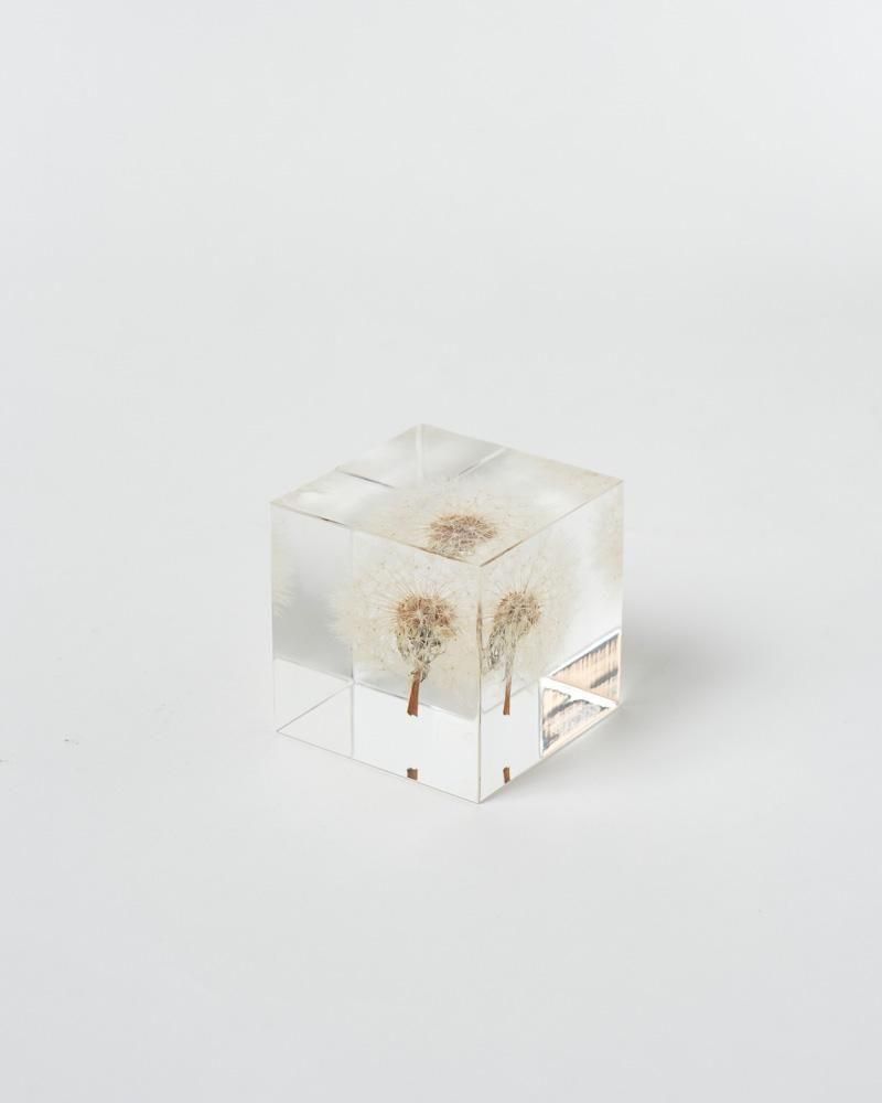 ホノサキ様 ウサギノネドコ｜Sola cube タンポポ（4cm角） - ウサギノネドコ
