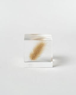 <img class='new_mark_img1' src='https://img.shop-pro.jp/img/new/icons13.gif' style='border:none;display:inline;margin:0px;padding:0px;width:auto;' />Υͥɥ Sola cubeΥ