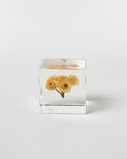 <img class='new_mark_img1' src='https://img.shop-pro.jp/img/new/icons13.gif' style='border:none;display:inline;margin:0px;padding:0px;width:auto;' />Υͥɥ Sola cube⡼ƥ