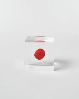 <img class='new_mark_img1' src='https://img.shop-pro.jp/img/new/icons13.gif' style='border:none;display:inline;margin:0px;padding:0px;width:auto;' />Υͥɥ Sola cube磻롼