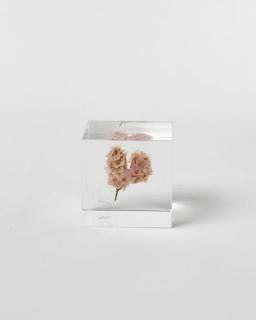 <img class='new_mark_img1' src='https://img.shop-pro.jp/img/new/icons13.gif' style='border:none;display:inline;margin:0px;padding:0px;width:auto;' />Υͥɥ Sola cubeޡ꡼