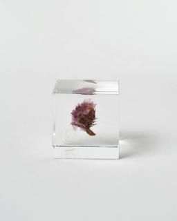 <img class='new_mark_img1' src='https://img.shop-pro.jp/img/new/icons13.gif' style='border:none;display:inline;margin:0px;padding:0px;width:auto;' />Υͥɥ Sola cube