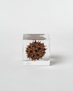 <img class='new_mark_img1' src='https://img.shop-pro.jp/img/new/icons13.gif' style='border:none;display:inline;margin:0px;padding:0px;width:auto;' />Υͥɥ Sola cubeߥХե