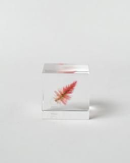 <img class='new_mark_img1' src='https://img.shop-pro.jp/img/new/icons13.gif' style='border:none;display:inline;margin:0px;padding:0px;width:auto;' />Υͥɥ Sola cubeΥȥ