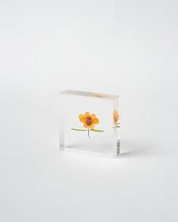 <img class='new_mark_img1' src='https://img.shop-pro.jp/img/new/icons13.gif' style='border:none;display:inline;margin:0px;padding:0px;width:auto;' />Υͥɥ Sola Tile˥