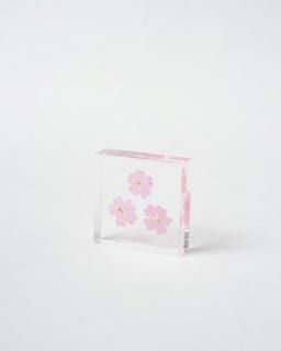 <img class='new_mark_img1' src='https://img.shop-pro.jp/img/new/icons13.gif' style='border:none;display:inline;margin:0px;padding:0px;width:auto;' />Υͥɥ Sola TileС٥
