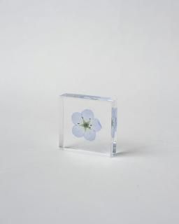 <img class='new_mark_img1' src='https://img.shop-pro.jp/img/new/icons13.gif' style='border:none;display:inline;margin:0px;padding:0px;width:auto;' />Υͥɥ Sola Tileե