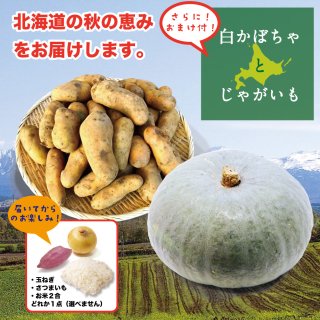 MF-043　「北海道　秋の収穫セット」白かぼちゃとじゃがいも（舟山農産）
