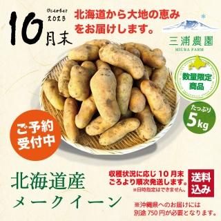 <img class='new_mark_img1' src='https://img.shop-pro.jp/img/new/icons6.gif' style='border:none;display:inline;margin:0px;padding:0px;width:auto;' />MF-048 ̳ƻΥ᡼