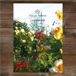 <img class='new_mark_img1' src='https://img.shop-pro.jp/img/new/icons14.gif' style='border:none;display:inline;margin:0px;padding:0px;width:auto;' />ڤͽHIKARI FLOWER CATALOG 2026(2026ǯ)