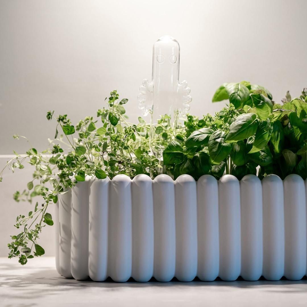 給水機 | ニョロニョロ | ムーミン - 北欧雑貨のLiLiCoCo(リリココ