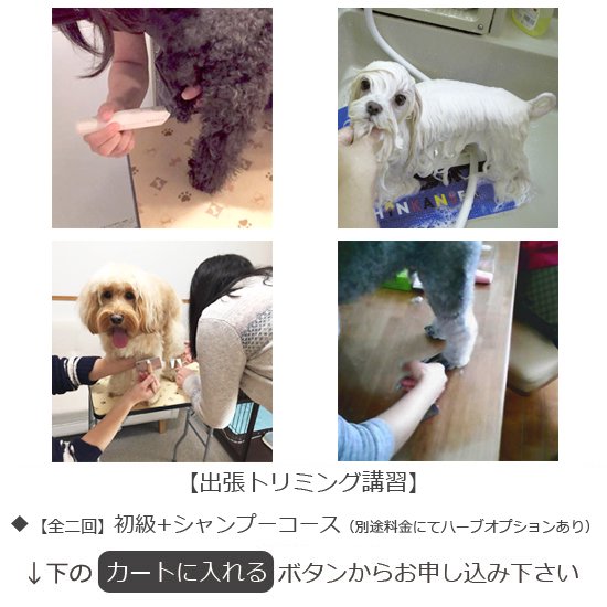 お家でトリミング教室【全2回】初級コース＋シャンプーコース講座。お家で愛犬のトリミングがスムーズにいく方法