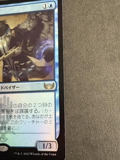 帳簿裂き/Ledger Shredder (日Foil,SNCプレリ,傷小) - 岩手県一関市の